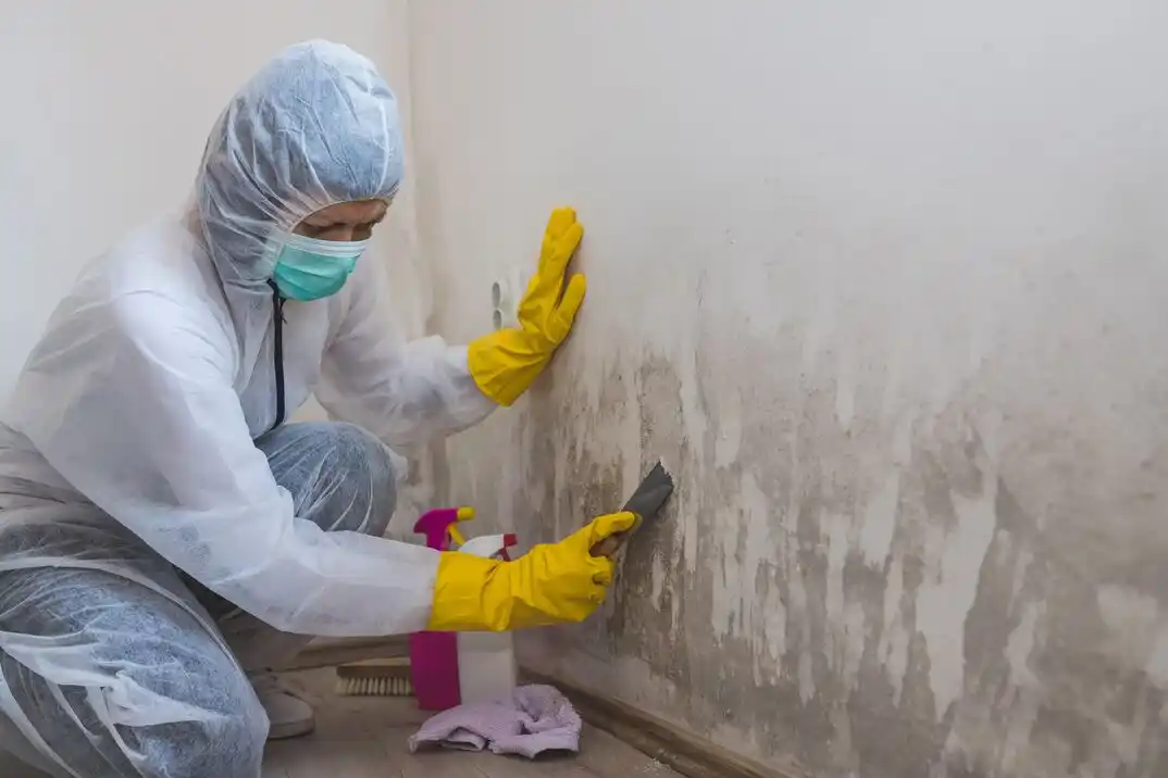water damage restoration service Ryans Crossing